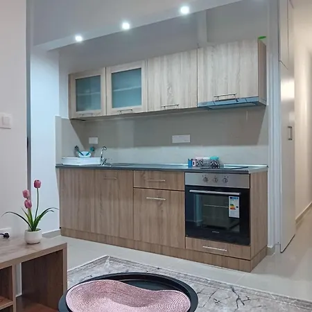 Apartment Nikola